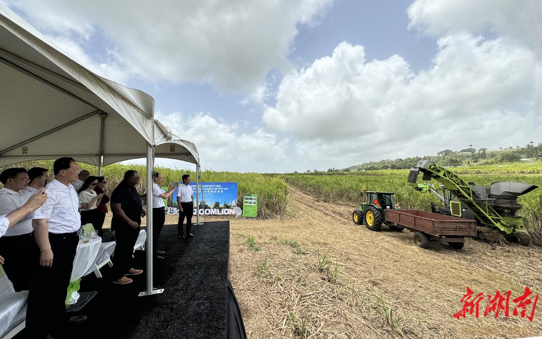 凯时K66·(中国区)官方网站