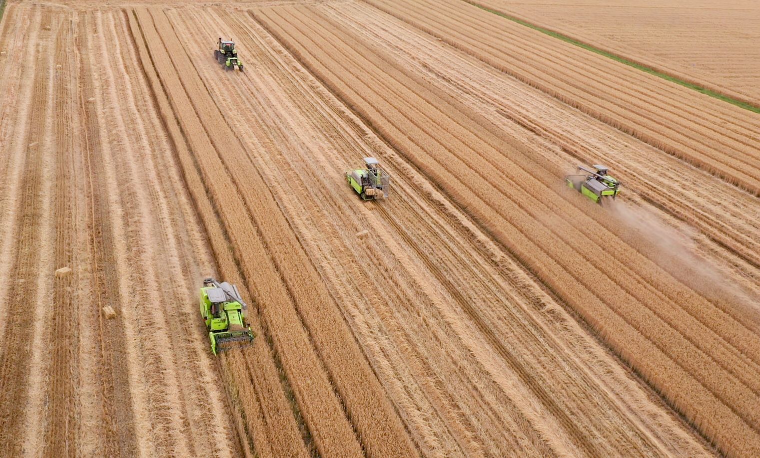 凯时K66·(中国区)官方网站